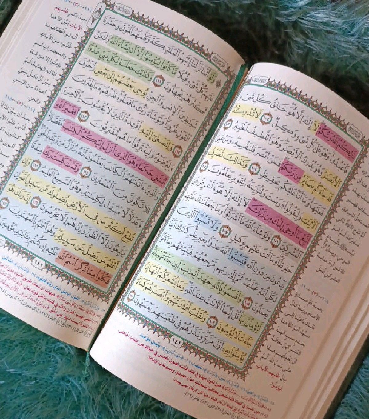 Tajweed & Recitation